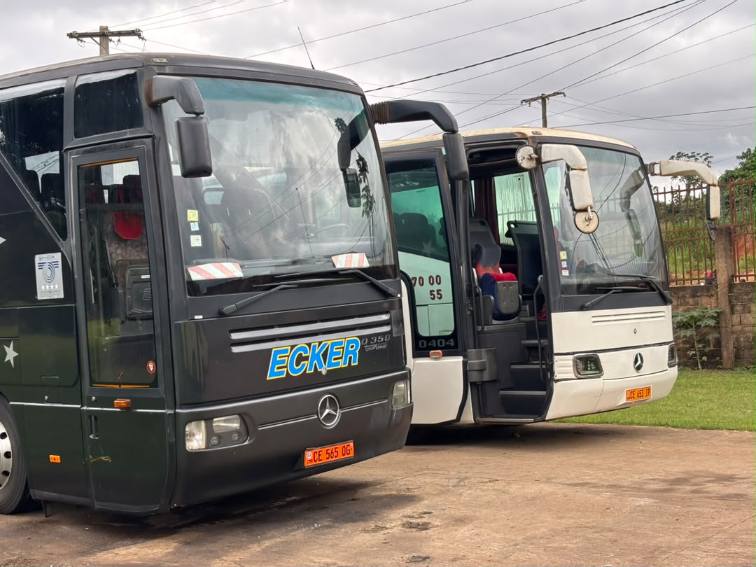 Deux bus MA NAVETTE AÉROPORTUAIRE